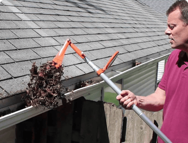 Gutter Cleaning